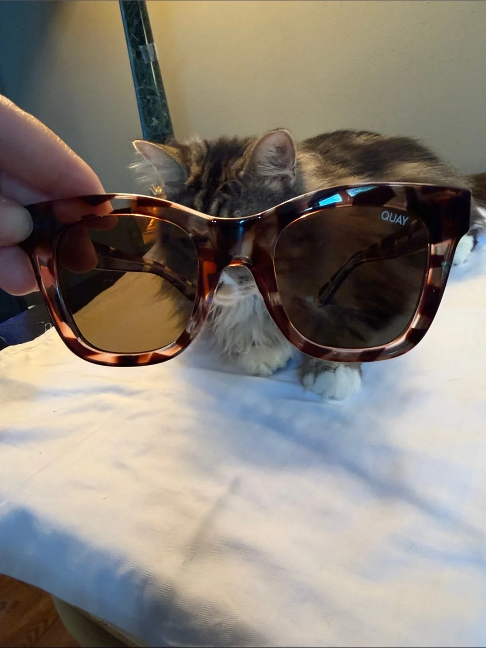 QUAY Tortoiseshell Cat-Eye Sunglasses - Brown